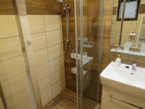 Holiday home in Cachrov/Böhmerwald 35500 tesisinde bir banyo