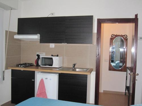 ベルガモにあるCasa vacanza le mansardineのシンクと電子レンジのある小さなキッチン