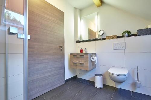 a bathroom with a toilet and a mirror at Exklusive Ferienwohnung auf dem Romanshof - Naturidylle pur - Nebengebäude in Loßburg