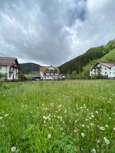 Příroda nedaleko penzionu