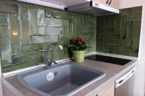 a sink in a kitchen with a green wall at Beach Time Studio in Perea