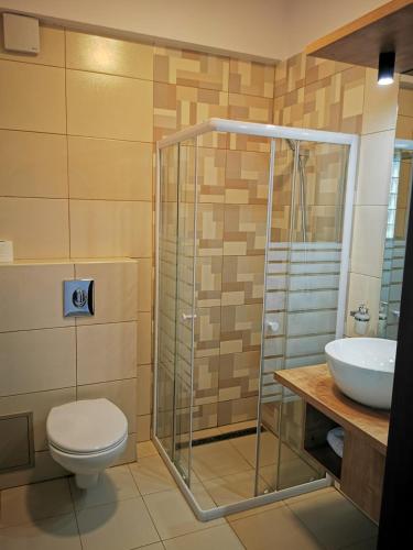 a bathroom with a shower and a toilet and a sink at Pensiunea Sunshine in Eşelniţa