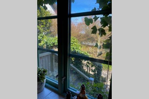 a window with a view of a yard at Mysigt gästhus med cykelavstånd till havet! in Skivarp