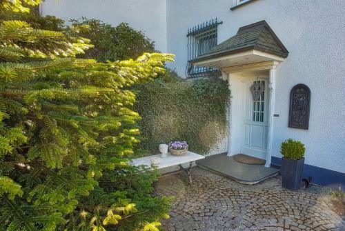 Zahrada ubytování Villa Meisterstein