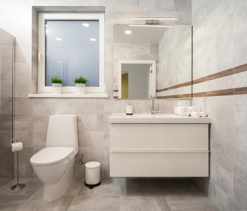 a bathroom with a toilet and a sink and a mirror at Laurentroom Central Park in Ukmergė