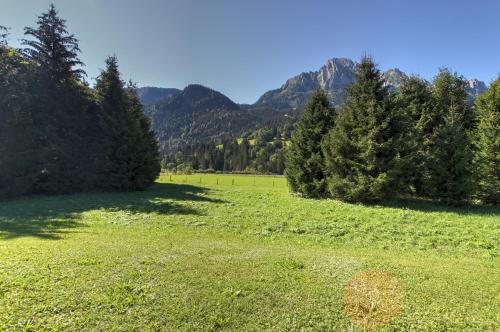 a green field with trees and mountains in the background at Dahlia in Kalberhöni