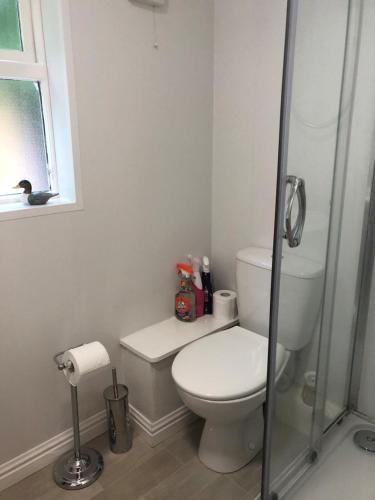 a white bathroom with a toilet and a shower at Mole Cottage in Stocksfield