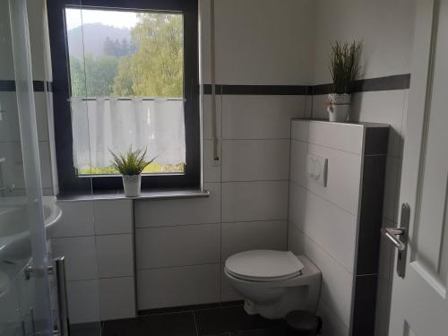 a bathroom with a toilet and a window at Hibbeln Hof in Brilon