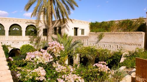 a garden with pink flowers in front of a building at DAR NEJMA in Tozeur