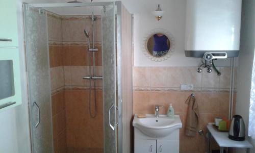 y baño con ducha y lavamanos. en České Švýcarsko - Apartmán pro 2-3 dospělé osoby, en Srbská Kamenice