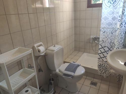 La salle de bains est pourvue de toilettes, d'un lavabo et d'une douche. dans l'établissement sivotahomes-country, à Sivota