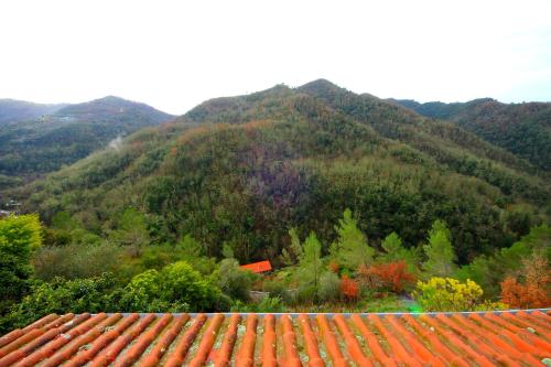 a view of a mountain with a red tile roof at La Favorita Apricale B&B & Ristorante in Apricale
