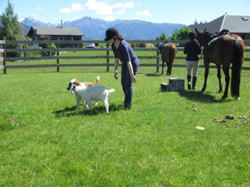 a woman and a dog in a field with horses at Kepler Oaks Chalet in Te Anau