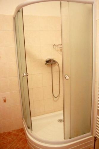 a shower with a glass door in a bathroom at Ubytování Sušice in Sušice