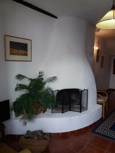 a living room with a fireplace with a plant at Casa Santa Ana in Lanjarón
