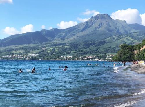 un grupo de personas en el agua en la playa en BRIN d AMOUR COTE ATLANTIQUE voir site vacances en martinique, en La Trinité