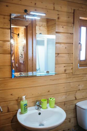 a bathroom with a sink and a mirror at Gothes Chalet Albertito in Ponte de Vagos