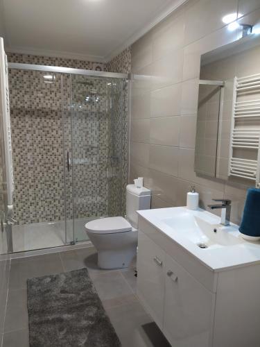 a bathroom with a toilet and a shower and a sink at Casa Borlido in Ponte de Lima