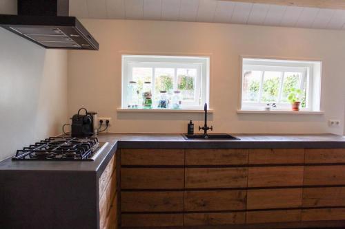 a kitchen with a stove and a sink and two windows at Casa Vinke op Ameland in Hollum