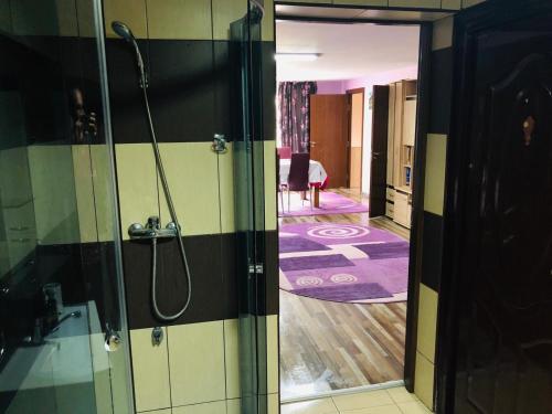 a bathroom with a shower and a room at Casa de la Lac in Sighetu Marmaţiei