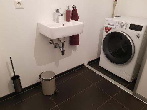 a bathroom with a washing machine and a sink at Ferienwohnung Daudi in Bad Dürrheim
