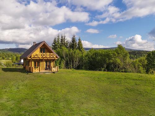 a small wooden house on a green field at Domek w Górach Sowich in Michałkowa