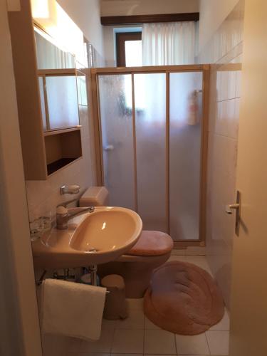 een badkamer met een toilet, een wastafel en een douche bij Casa Romana in Someo