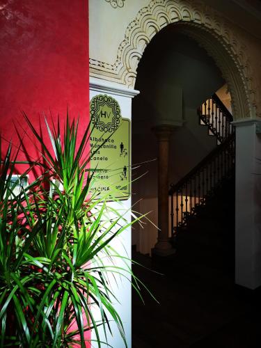 Hacienda Vistamar – Photos 4