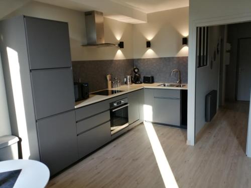 a kitchen with stainless steel appliances and a wooden floor at Charmant Appartement Muret Centre in Muret