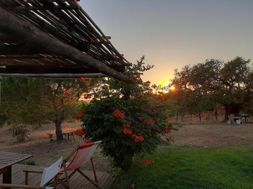 a bench and a bush with red flowers and the sunset at Monte Alentejano - Melides in Melides