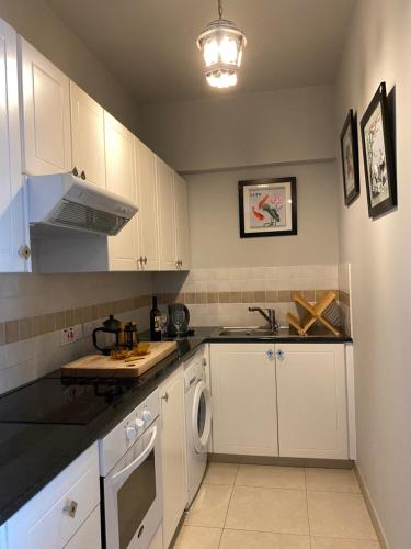 Kuchyň nebo kuchyňský kout v ubytování Retro n’ Boujee 1BR Apt with Pool and Balcony