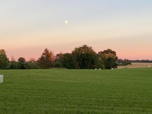 Gallery image of Zum Felde Ferienwohnungen in Neustadt in Holstein