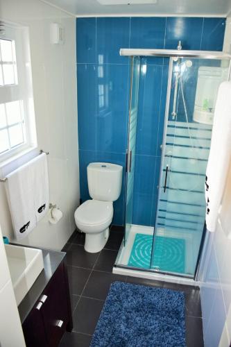 a bathroom with a toilet and a glass shower at Casa da Abrótea in Lajes do Pico