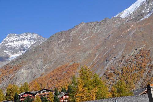 Apartmenthaus Holiday