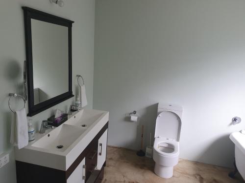 a bathroom with a toilet and a sink and a mirror at Koromatua Homestead in Whatawhata