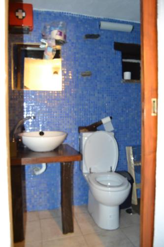 a blue bathroom with a toilet and a sink at Talasnal Montanhas de Amor in Lousã