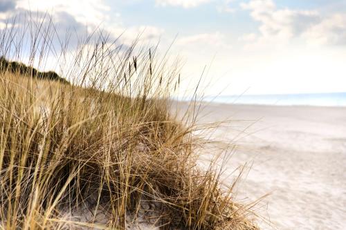 a sandy beach with tall grass in front of the ocean at Best Western Hotel Jurata in Jurata