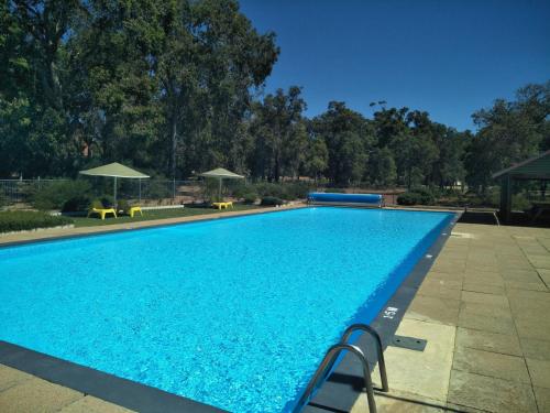 Pinjarra的住宿－菲爾布利基村莊別墅，一个带椅子和遮阳伞的大型蓝色游泳池