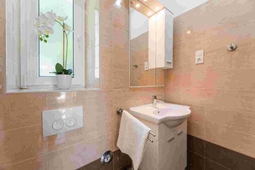 y baño con lavabo y espejo. en Apartment in Crikvenica 14104, en Sopaljska