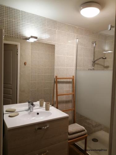 une salle de bain avec un lavabo et une douche dans l'établissement Les demeures champêtres, à Jarnosse