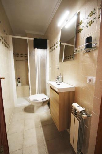 a bathroom with a toilet and a sink and a shower at 380 Delicia de Teruel in Teruel