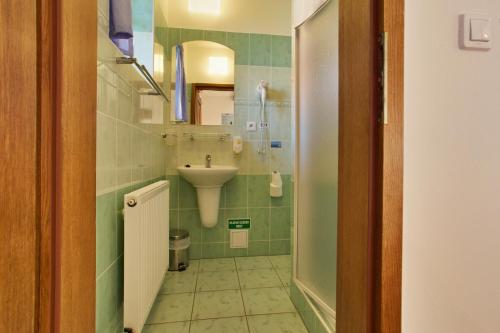 uma pequena casa de banho com um lavatório e um espelho em Bukovanský mlýn em Bukovany