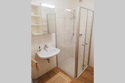 a bathroom with a shower and a sink at Klein und Fein in Spital am Pyhrn