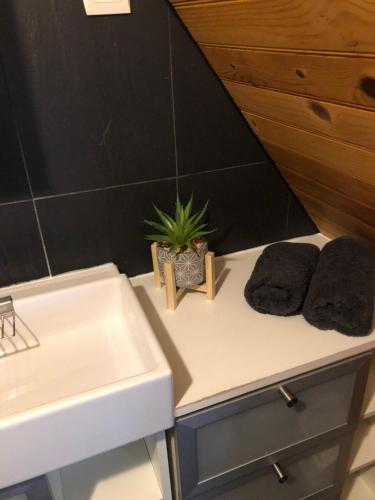 La salle de bains est pourvue d'un lavabo et d'une plante sur un comptoir. dans l'établissement La Maison d'Alix, à l'intérieur de la Cité médiévale!, à Carcassonne