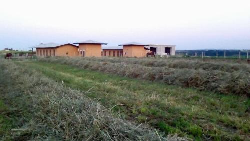 a row of houses in the middle of a field at Agriturismo La Costa dei Trabocchi in Torino di Sangro