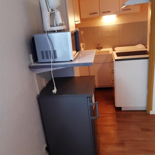 une petite cuisine avec un réfrigérateur et un micro-ondes dans l'établissement LE PHENIX à internet haut débit & parking, à Dijon