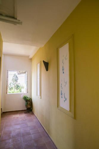 Gallery image of Ammon Garden Hotel in Pefkohori