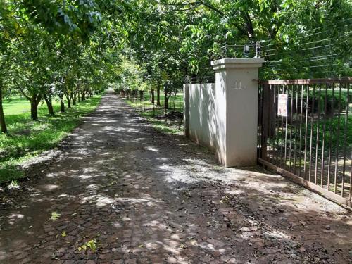 a dirt road with a fence and trees at Green Willows Guest House in Skeerpoort