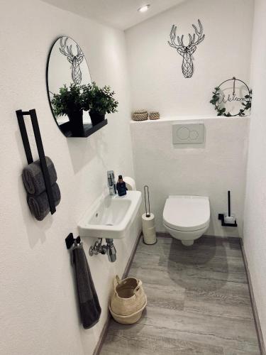 a bathroom with a white toilet and a sink at Apartments Riese in Neustift im Stubaital