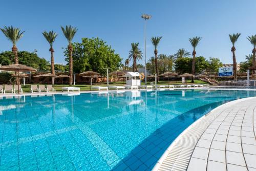 uma grande piscina com palmeiras e guarda-sóis em U Splash Resort Eilat em Eilat